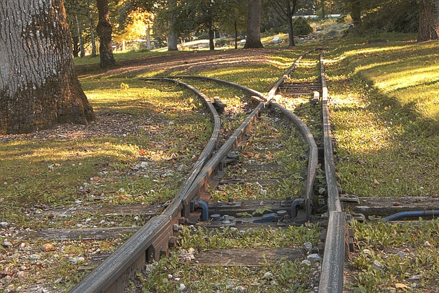 Bronx Lawyer Referral Service